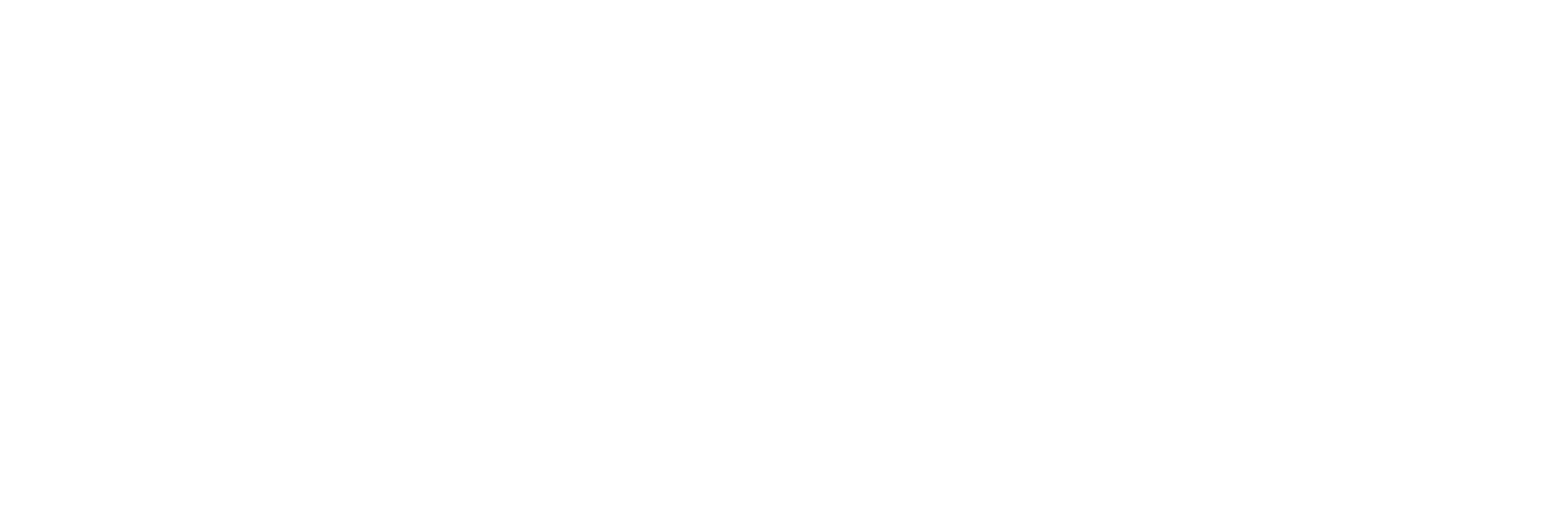 logo.prostokąt.3przeź